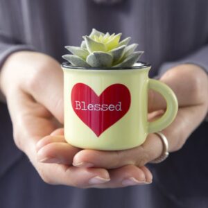 Blessed Mini Mug Succulent