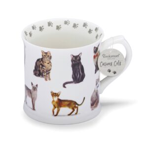 Curious Cat Mug